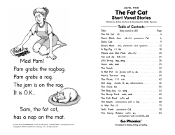 The Fat Cat Short Vowel Stories Table of Contents