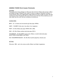 ANDREA THOME Work Sample: Pinkolandia  SYNOPSIS