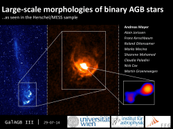 Large-scale morphologies of binary AGB stars
