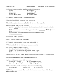 Biochemistry 2000 Sample Question Transcription, Translation and Lipids