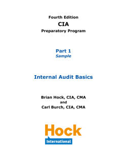 CIA Internal Audit Basics Part 1