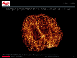 Sample preparation for 1- and 2-color STED CW a -tubulin,(Rockland Immuno).