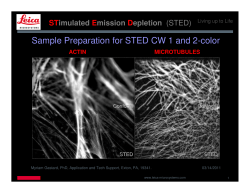 Sample Preparation for STED CW 1 and 2-color ST E D