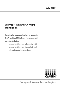 AllPrep™ DNA/RNA Micro Handbook July 2007