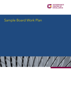 Sample Board Work Plan