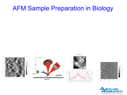 AFM Sample Preparation in Biology