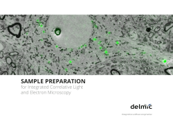 SAMPLE PREPARATION for Integrated Correlative Light and Electron Microscopy Integration without compromise