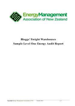 Bloggs’ Freight Warehouses Sample Level One Energy Audit Report  Copyright