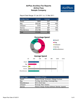 AirPlus Ancillary Fee Reports Airline Fees Sample Company