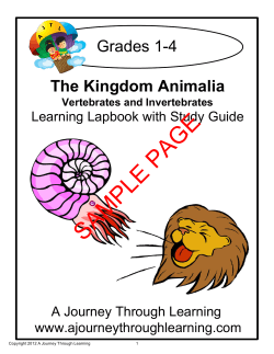 PAGE SAMPLE Grades 1-4 The Kingdom Animalia