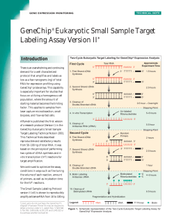 GeneChip Eukaryotic Small Sample Target Labeling Assay Version II *