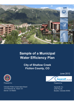 Sample of a Municipal Water Efficiency Plan  City of Shallow Creek