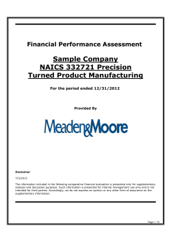 Sample Company NAICS 332721 Precision Turned Product Manufacturing Financial Performance Assessment