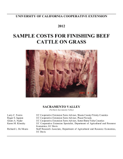 SAMPLE COSTS FOR FINISHING BEEF CATTLE ON GRASS 2012