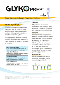 Rapid Glycoprotein Sample Preparation Platform Analysis What is GlykoPrep?