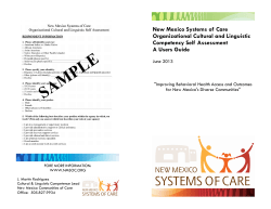 New Mexico Systems of Care Organizational Cultural and Linguistic Competency Self Assessment