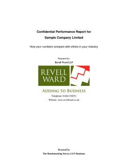 Confidential Performance Report for Sample Company Limited