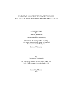 SAMPLE PATH ANALYSIS OF STOCHASTIC PROCESSES: A DISSERTATION