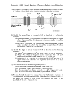 Biochemistry 2000  Sample Questions 5  Transport, Carbohydrates, Metabolism