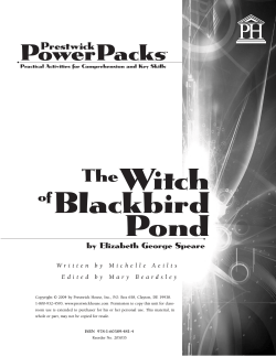 Witch Blackbird Pond PowerPacks