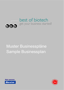 Muster Businesspläne Sample Businessplan Main sponsor