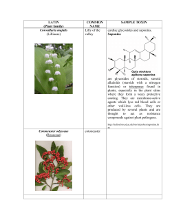 LATIN COMMON SAMPLE TOXIN (Plant family)