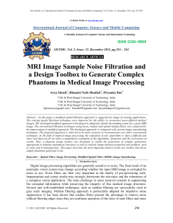 MRI Image Sample Noise Filtration and Phantoms in Medical Image Processing