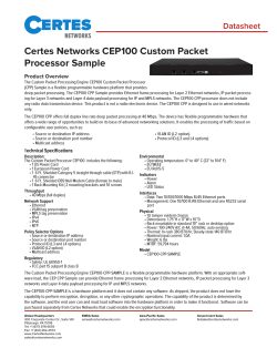 Certes Networks CEP100 Custom Packet Processor Sample Datasheet Product Overview