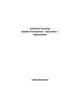 Isoelectric Focusing: Sample Pretreatment – Separation – Hyphenation