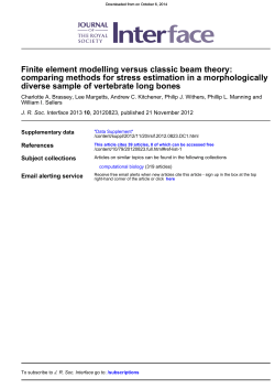 Finite element modelling versus classic beam theory: morphologically
