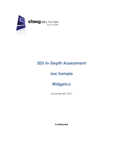 SDS In-Depth Assessment Joe Sample Widgetco