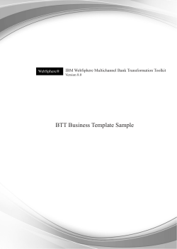 BTT Business Template Sample IBM WebSphere Multichannel Bank Transformation Toolkit WebSphere®