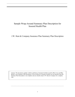 Sample Wrap-Around Summary Plan Description for Insured Health Plan
