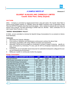 A SAMPLE WRITE UP GUJARAT ALKALIES AND CHEMICALS LIMITED