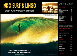 INDO SURF &amp; LINGO 20th Anniversary Edition LIVE THE DREAM