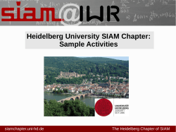 Heidelberg University SIAM Chapter: Sample Activities