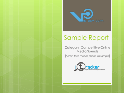 Sample Report Category  Competitive Online Media Spends (