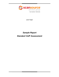 Sample Report Standard VoIP Assessment (your logo)
