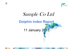 Sample Co Ltd Dolphin Index Report 11 January 2013 Page 1