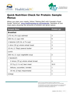 Quick Nutrition Check for Protein: Sample Menus