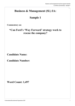 Business &amp; Management (SL) IA: Sample 1