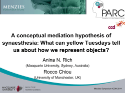A conceptual mediation hypothesis of synaesthesia: What can yellow Tuesdays tell