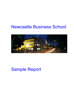 Newcastle Business School Sample Report