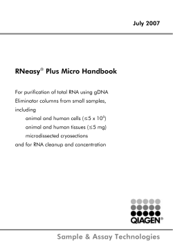 RNeasy Plus Micro Handbook July 2007
