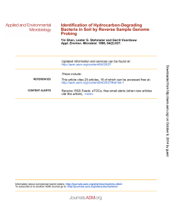 Identification of Hydrocarbon-Degrading Bacteria in Soil by Reverse Sample Genome Probing