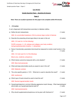 Cert VN ECC Sample Question Paper -  Questions &amp; Answers
