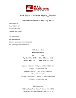 Job # 21224  -  Balance Report _ SAMPLE