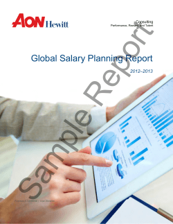 Report Sample Global Salary Planning Report 2012–2013