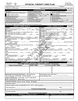 PHYSICAL THERAPY CARE PLAN INTERVENTIONS