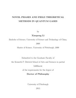NOVEL PHASES AND FIELD THEORETICAL METHODS IN QUANTUM GASES Xiaopeng Li by